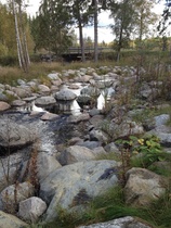 Ruskaretki Suurisuolla 26.9.2015