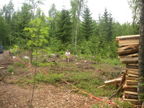 Kesä 2013