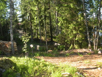 Kesä 2013